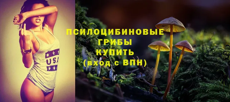 Галлюциногенные грибы MAGIC MUSHROOMS  Вольск 